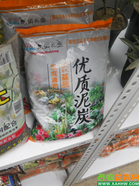 泥炭