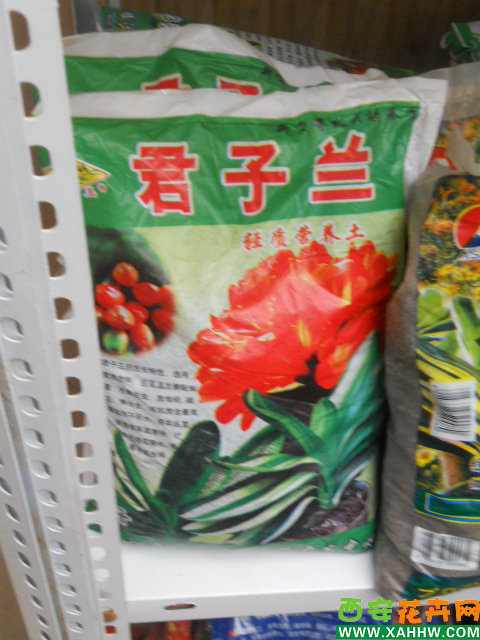 君子兰轻质营养土
