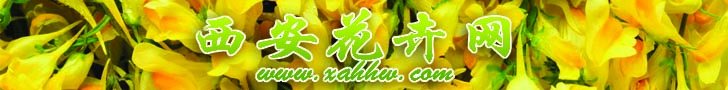【花卉信息】容易遭小偷光顾的房子