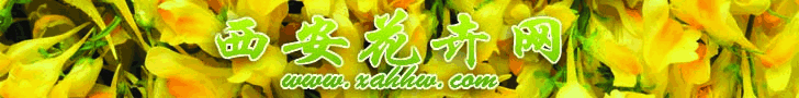 【花卉信息】金合欢栽培技术