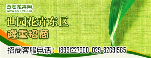 世园花卉东区隆重招商，欢迎广大经营花卉的朋友们积极加入！