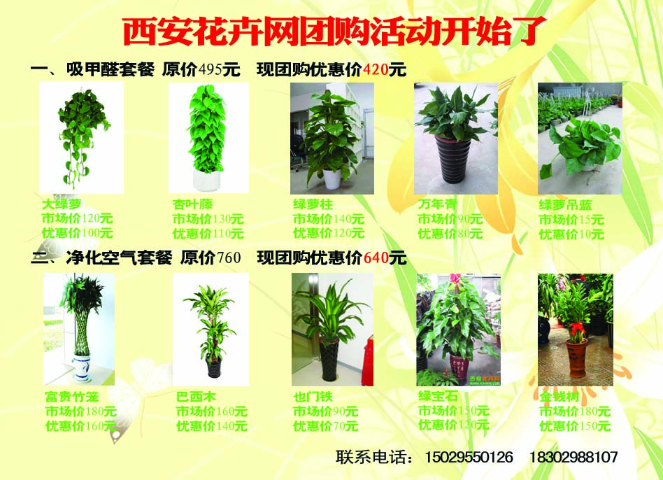 【花卉信息】罗金翠：走出传统的花卉创业者