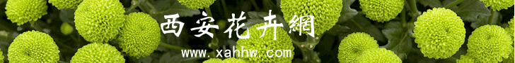 【花卉信息】扶桑花的嫁接方法