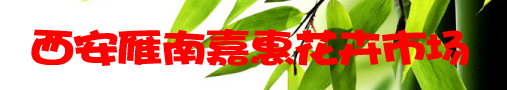 西安雁南嘉惠花卉市场简介
