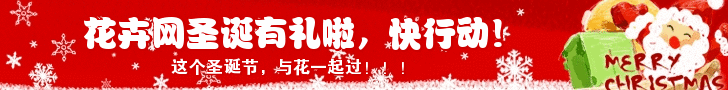 西安花市淡季至八月，销量整体持平