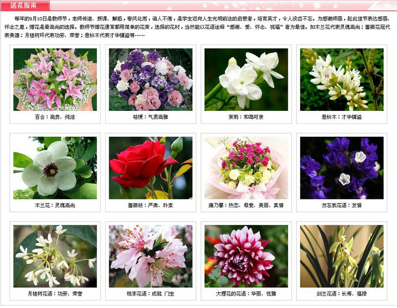 感恩教师节