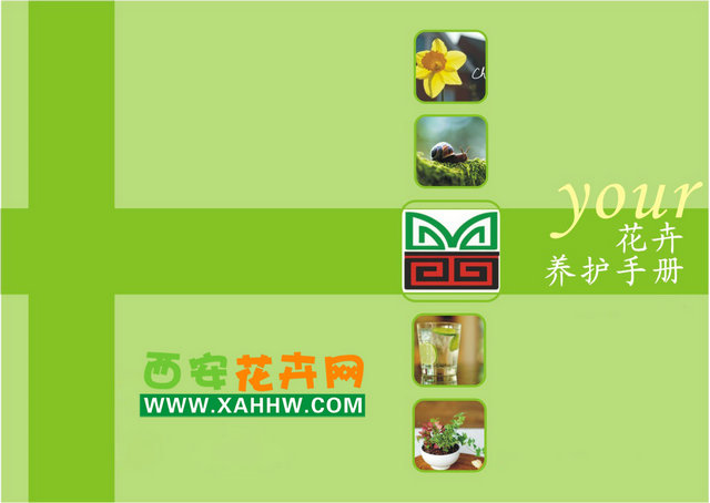 【花卉信息】西安花卉网之养花知识收藏夹（二）