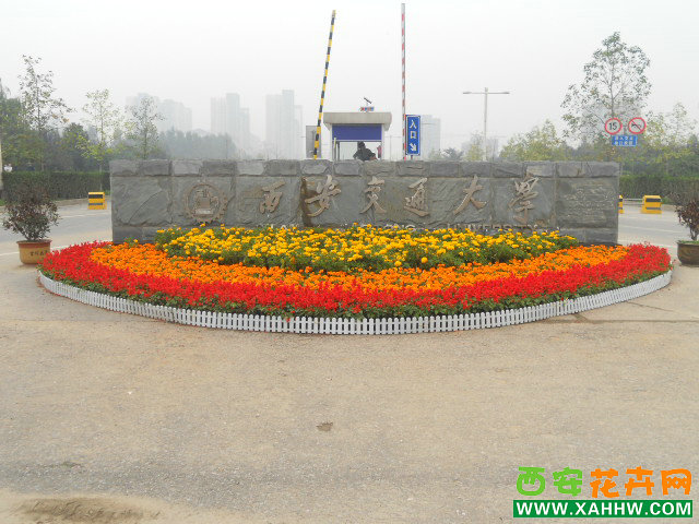 2012年国庆花堆造型