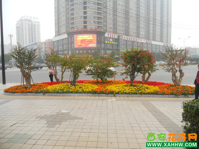 2012年国庆花堆造型