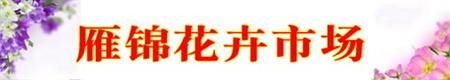 西安雁锦花卉市场坐落于西安市美丽的