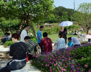 梅溪湖花卉艺术展再迎人流高峰