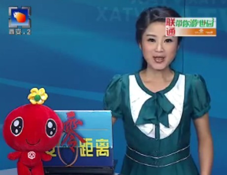 微型盆栽展