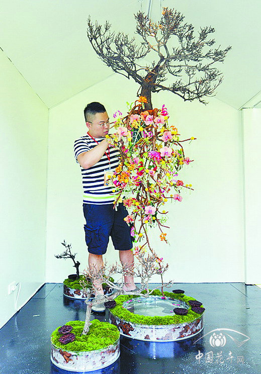 金蕾奖花艺大赛三冠王 台湾花艺师卢敏荣