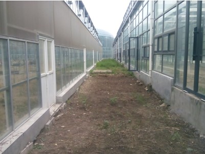 一品长安花卉博览园辅场馆