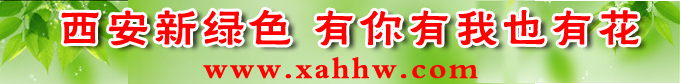 【花卉信息】办公室的吉祥物