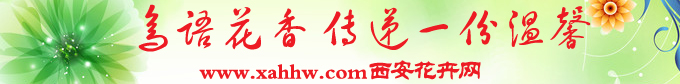 【花卉信息】厨房花卉分水