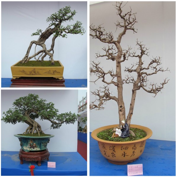 欢迎长安盆景苑来一品长安花博会参展