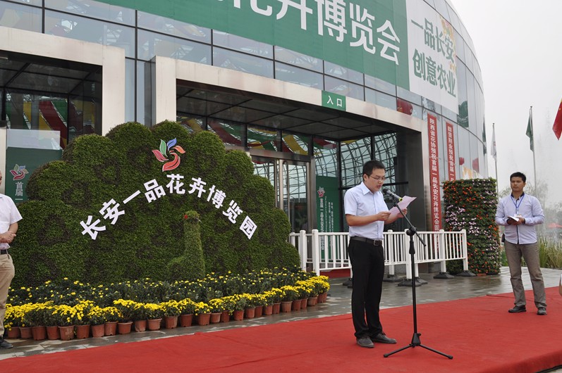 9.20上午一品长安花卉博览会正式开园