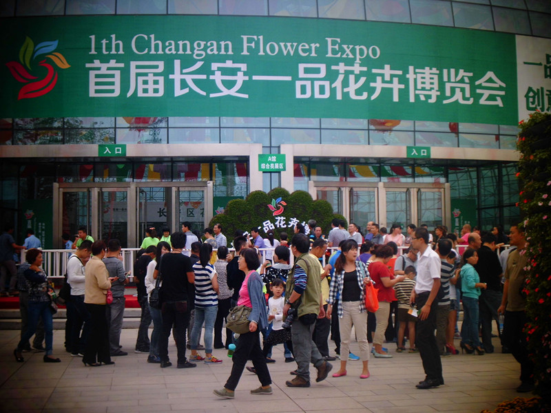 快来一品长安花卉博览会啦！