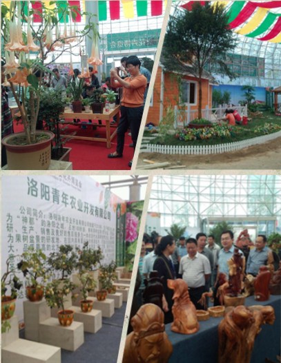 花卉博览园，主展馆受好评