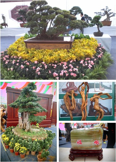 多家企业花博参展，可看奇花异草