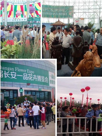 花博会园区日接待量达5万人次