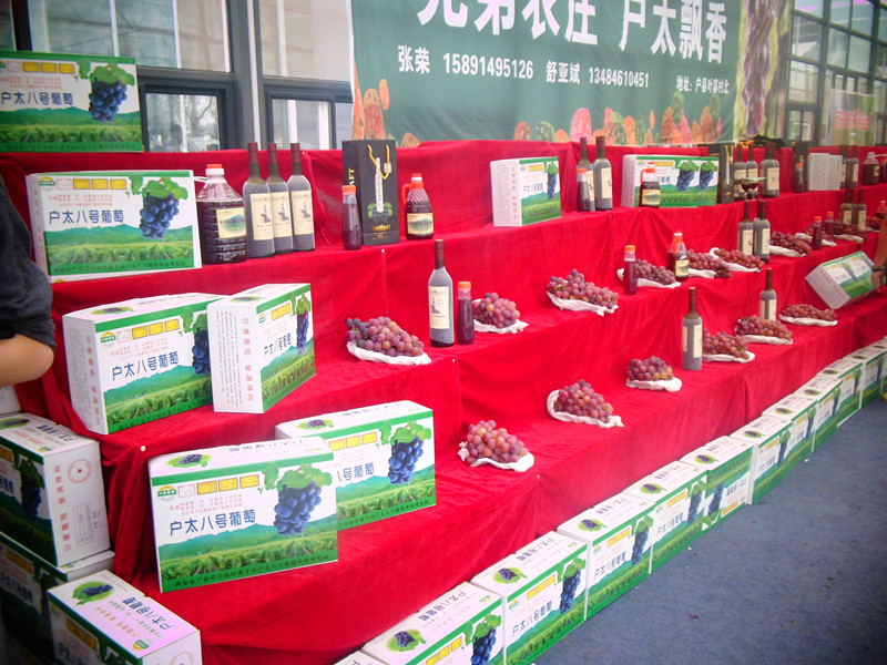 一品长安花博会辅展馆