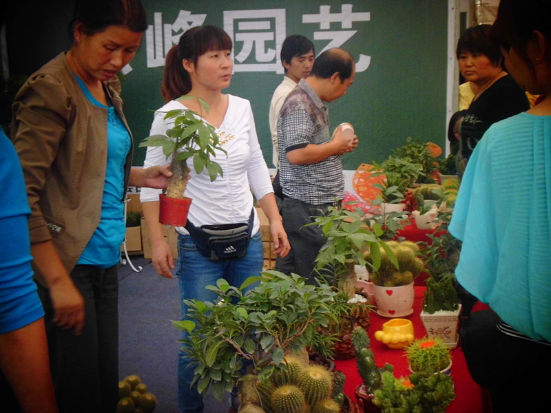 一品长安花博会辅展馆