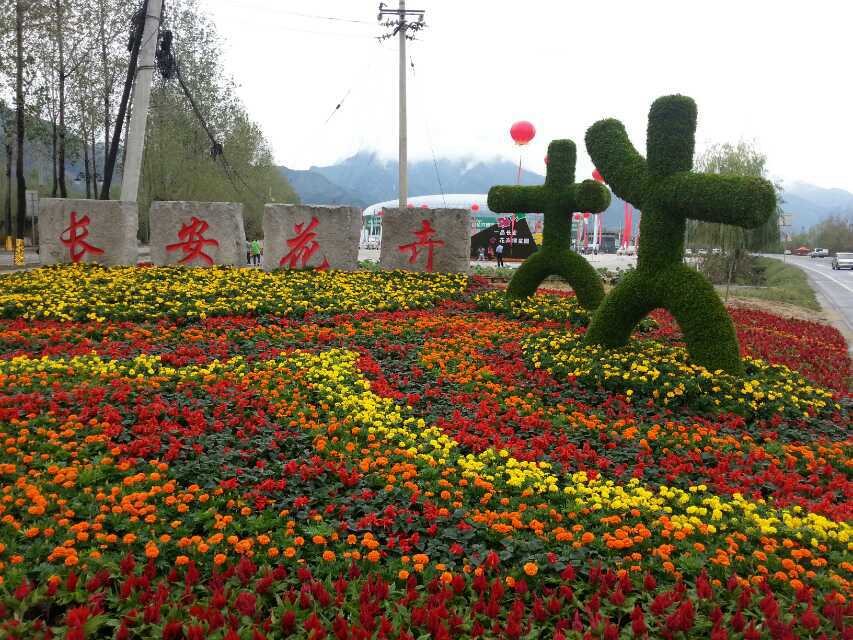 中心广场