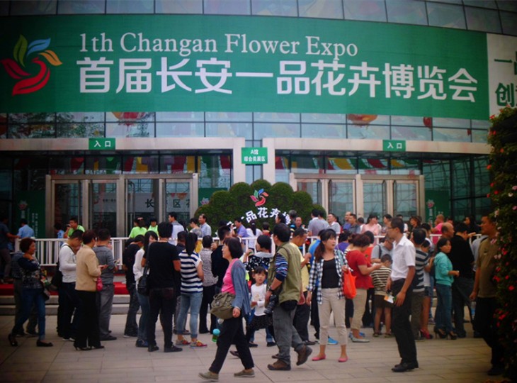 一品长安花博会国庆节迎来高峰期