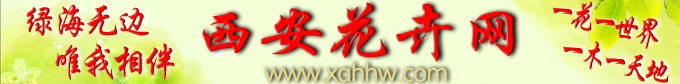 与花有关的现代诗