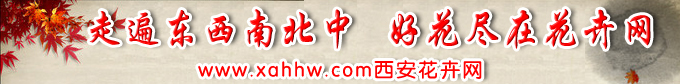 西安花卉消费趋于平民化 普通市民成为消费主体