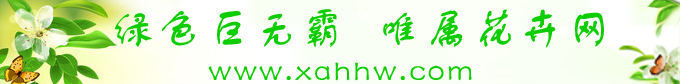 山东日照:海曲园艺温室大棚花草生产基地统一标准