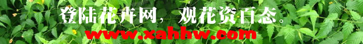 中国（长春）花卉博览会 将于3月5日-12日举行