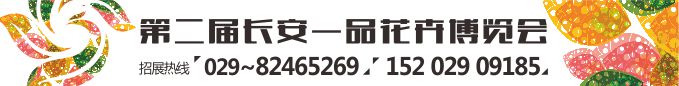 阮籍竹林听风雨