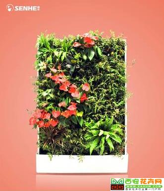 瑶草琪花 移动智能植物墙 室内花卉绿植盆栽 美观净化空气