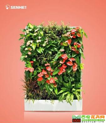 锦上添花 移动智能植物墙 室内花卉绿植盆栽 美观净化空气