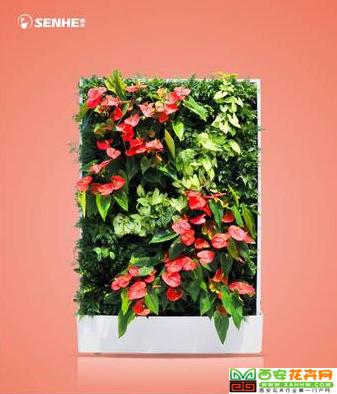 开门见喜 移动智能植物墙 室内花卉绿植盆栽 美观净化空气