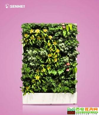 两情相悦 移动智能植物墙 室内花卉绿植盆栽 美观净化空气