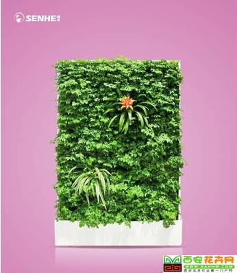 禾家幸福 移动智能植物墙 室内花卉绿植盆栽 美观净化空气
