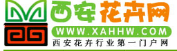 西安花卉网四周年庆