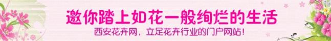 兴庆宫公园举办2015年郁金香、牡丹及春季花卉展