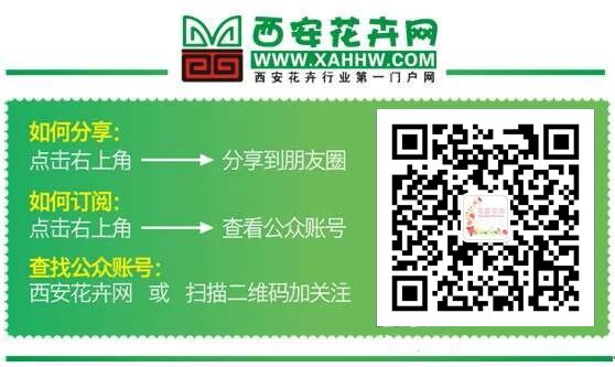 月月有花赏 花花有价值――赏花经济背后的多重经济价值