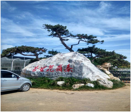 首届陕西荷文化艺术节