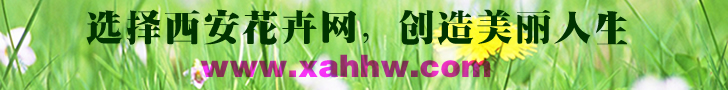 百日草怎么种