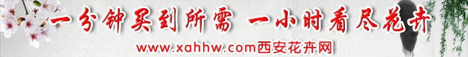 昆明：七夕临近玫瑰花价持续上涨 交易量已看齐2.14情人节