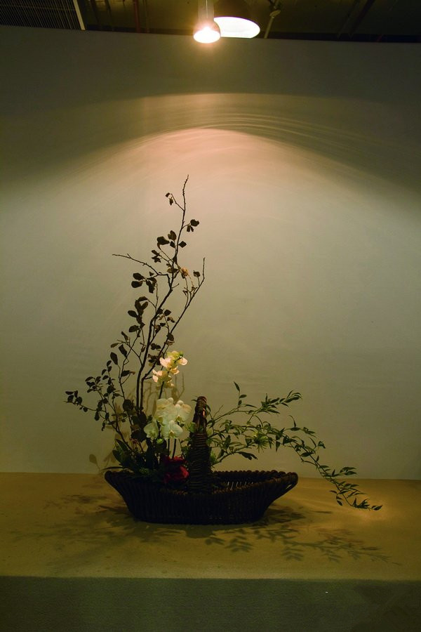 一花一天堂――跟随花艺师唐婕探寻花花世界