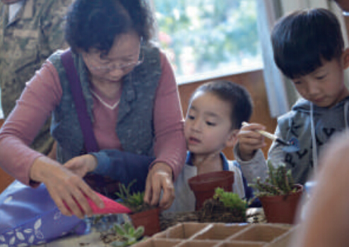 西安多肉植物受青睐 没有明显淡季