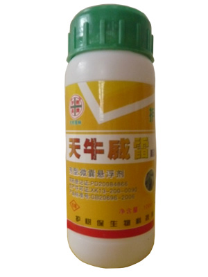 天牛威雷