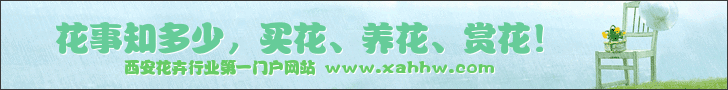花季衍生&ldquo;花经济&rdquo; 花期有限商机不败
